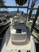 Thumbnail von Grady White Marlin 300 Fishaholics