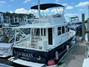 Sabre 36 Sedan BLUE MOON