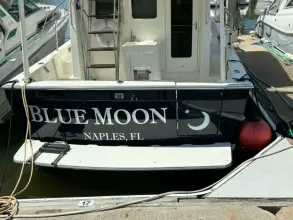 Thumbnail von Sabre 36 Sedan BLUE MOON