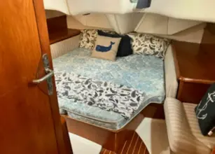 Thumbnail von Jeanneau Sun Odyssey 43 DS