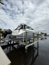 Thumbnail von Sea Ray 320 DA OB