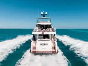 Thumbnail von Ocean Alexander 37L