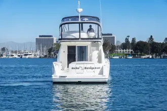 Thumbnail von Meridian 391 Sedan Bridge