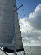 Thumbnail von Jeanneau Sun Odyssey 509 Panta Rhei