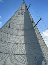 Thumbnail von Jeanneau Sun Odyssey 509 Panta Rhei