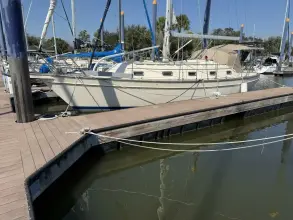 Thumbnail von Island Packet 380 Amara