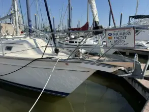 Thumbnail von Island Packet 380 Amara
