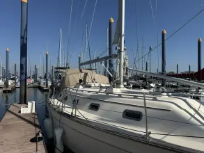 Thumbnail von Island Packet 380 Amara