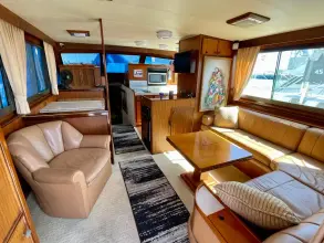 Thumbnail von Hatteras 52 Convertible Liar Liar