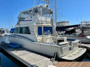 Thumbnail von Hatteras 52 Convertible Liar Liar