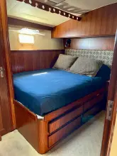 Thumbnail von Hatteras 52 Convertible Liar Liar