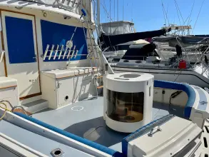 Thumbnail von Hatteras 52 Convertible Liar Liar