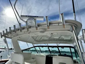 Thumbnail von Tiara Yachts 3700 Open HALCYON