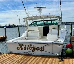 Thumbnail von Tiara Yachts 3700 Open HALCYON
