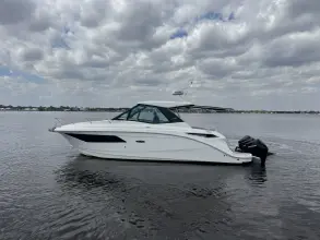 Thumbnail von Sea Ray 320 Sundancer Outboard