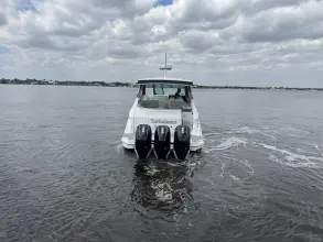 Thumbnail von Sea Ray 320 Sundancer Outboard