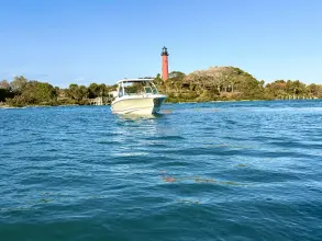 Thumbnail von Boston Whaler 280 Vantage
