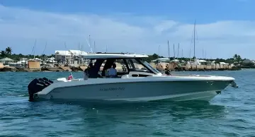 Thumbnail von Boston Whaler 350 Realm