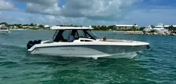 Thumbnail von Boston Whaler 350 Realm