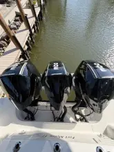 Thumbnail von Boston Whaler 350 Realm