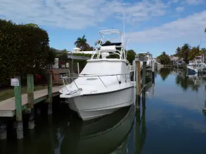 Thumbnail von Boston Whaler 345 Conquest