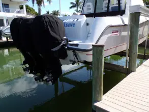 Thumbnail von Boston Whaler 345 Conquest