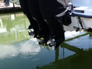 Thumbnail von Boston Whaler 345 Conquest