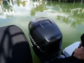 Thumbnail von Boston Whaler 345 Conquest