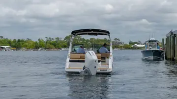 Thumbnail von Sea Ray SDX 250 Outboard