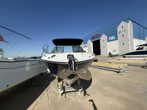 Thumbnail von Sea Ray 260 SLX-OB