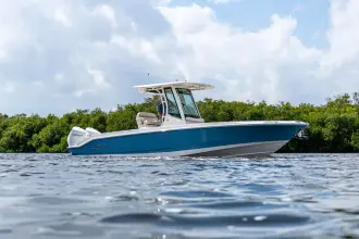 Thumbnail von Boston Whaler 280 Dauntless