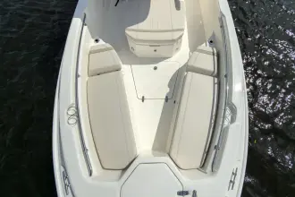 Thumbnail von Boston Whaler 280 Dauntless