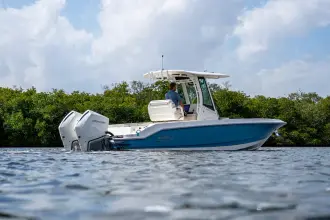 Thumbnail von Boston Whaler 280 Dauntless