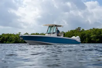 Thumbnail von Boston Whaler 280 Dauntless