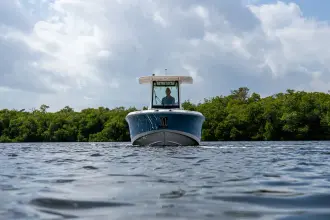 Thumbnail von Boston Whaler 280 Dauntless