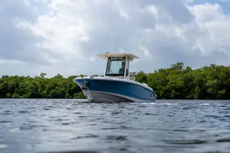 Thumbnail von Boston Whaler 280 Dauntless