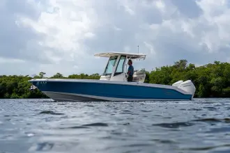 Thumbnail von Boston Whaler 280 Dauntless