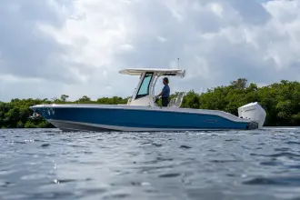 Thumbnail von Boston Whaler 280 Dauntless