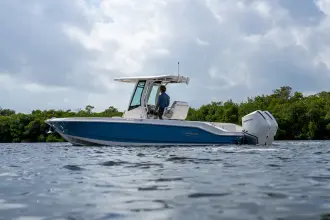 Thumbnail von Boston Whaler 280 Dauntless