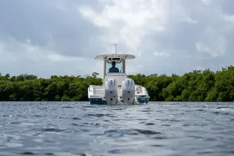 Thumbnail von Boston Whaler 280 Dauntless