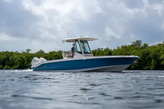 Thumbnail von Boston Whaler 280 Dauntless