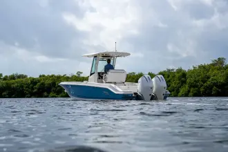 Thumbnail von Boston Whaler 280 Dauntless
