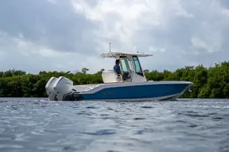 Thumbnail von Boston Whaler 280 Dauntless