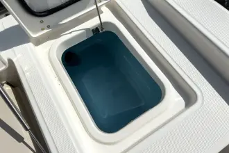 Thumbnail von Boston Whaler 280 Dauntless