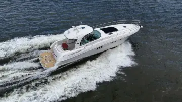 Thumbnail von Sea Ray 52 Sundancer