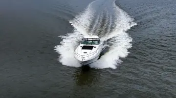 Thumbnail von Sea Ray 52 Sundancer