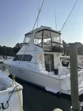 Thumbnail von Silverton 42 Convertible