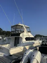 Thumbnail von Silverton 42 Convertible