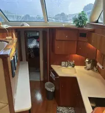 Thumbnail von Silverton 42 Convertible