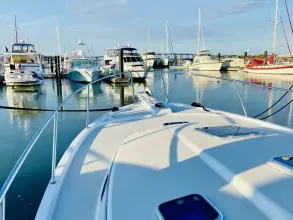 Thumbnail von Back Cove 41